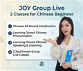 Group Live Classes for Chinese Beginner
